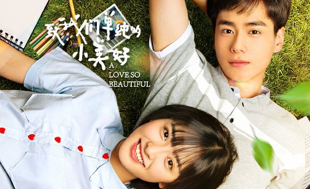 A Love So Beautiful Review: Should You Binge It? (Honest Thoughts from a Fan of the Show)