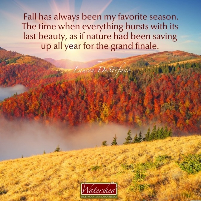 Fall Hiking Captions: Perfect Lines for Your Autumn Adventures