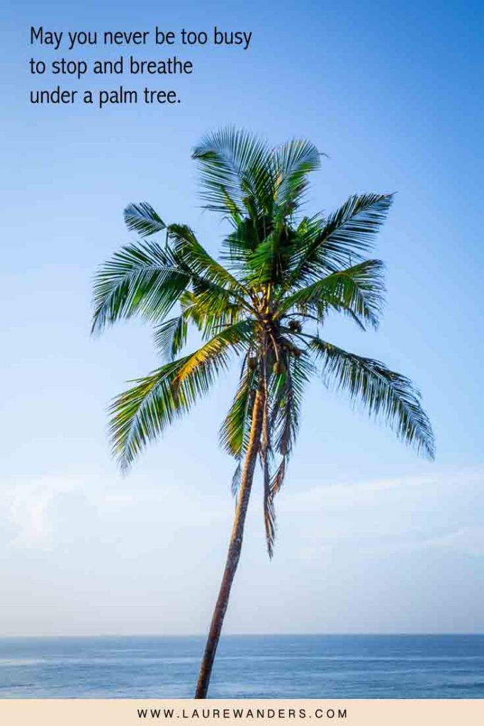 Quotes on Palm Trees: Ultimate List for Your Vacation Mood