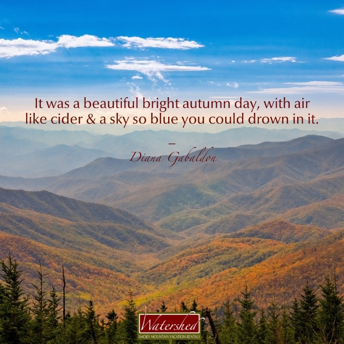 Fall Hiking Captions: Perfect Lines for Your Autumn Adventures
