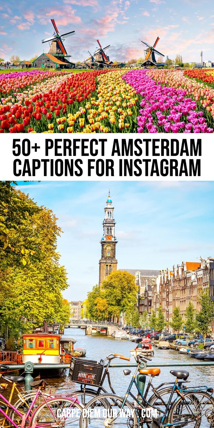 Perfect Amsterdam Instagram Captions to Capture Your Memories