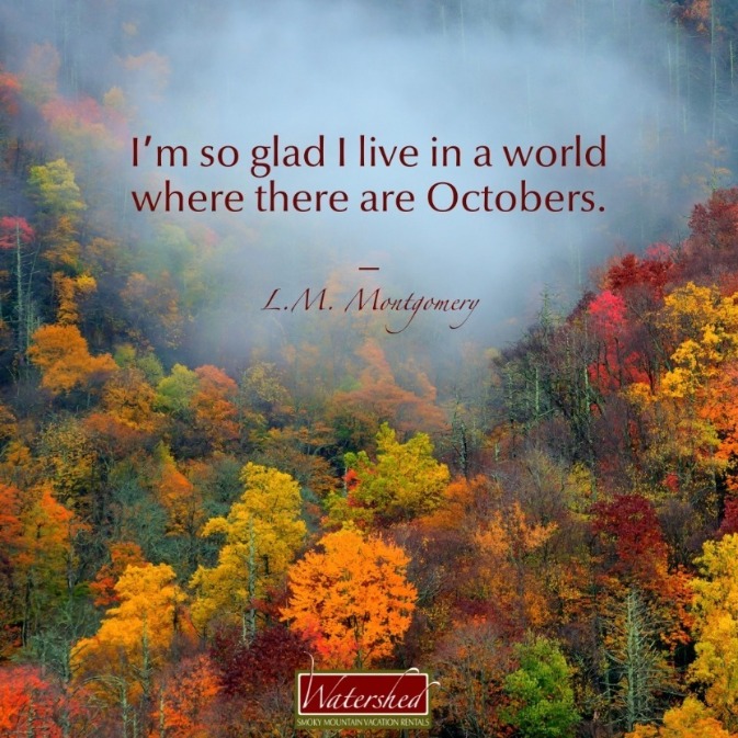 Fall Hiking Captions: Perfect Lines for Your Autumn Adventures
