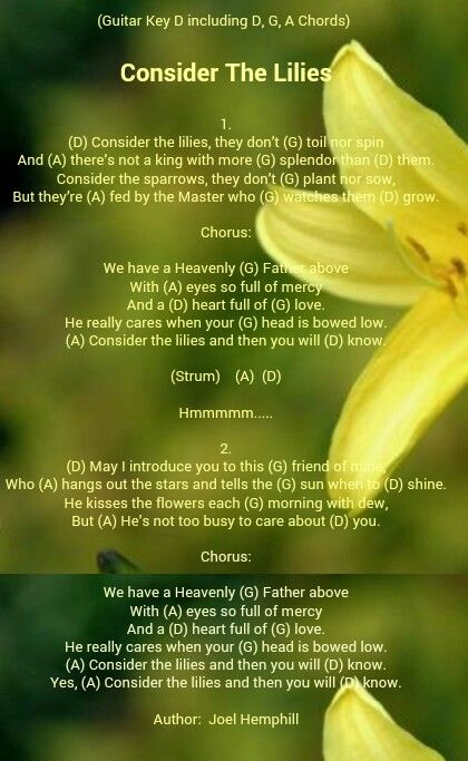 Consider the Lilies Hymn Lyrics: Full Text and Meaning Explained