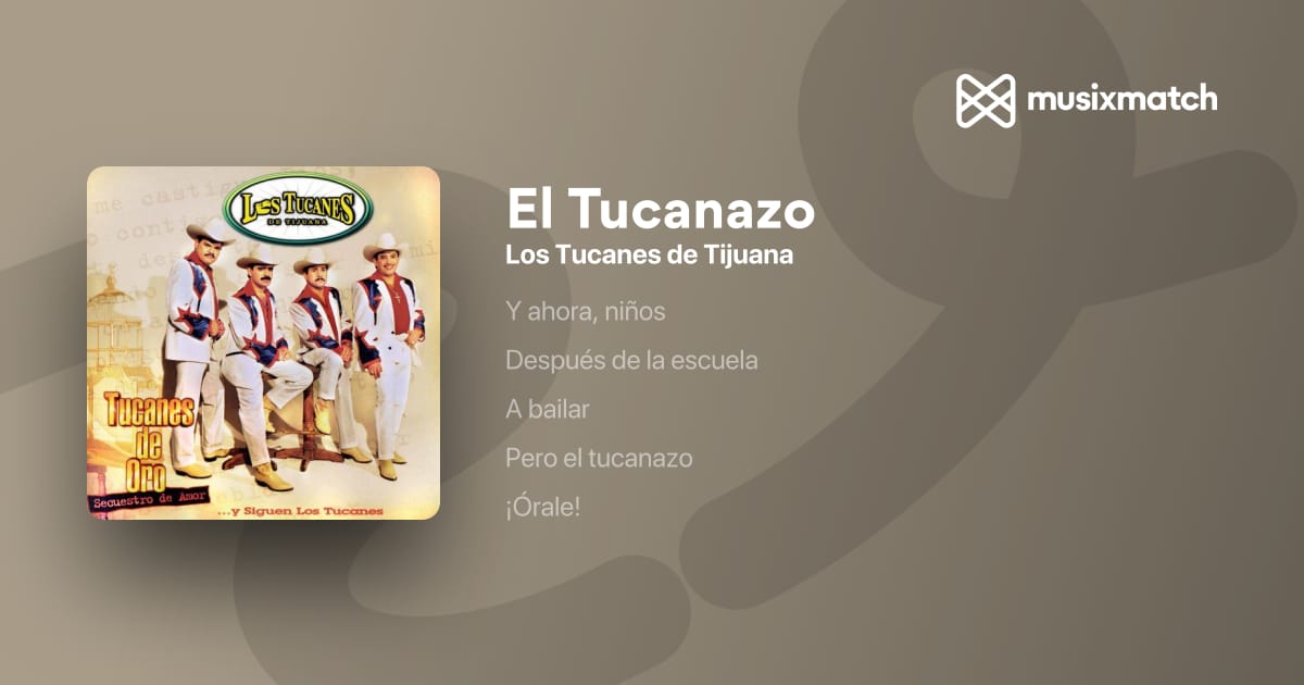 El Tucanazo English Lyrics: Translation and Meaning Explained