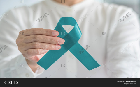 world pcos day