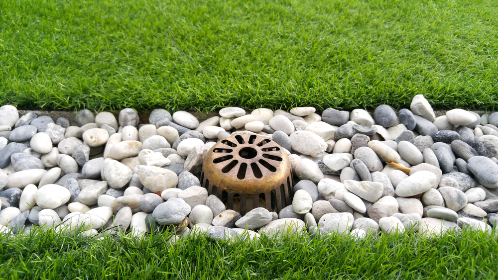 Best Lawn Drainage Companies: Keep Your Yard Dry and Healthy