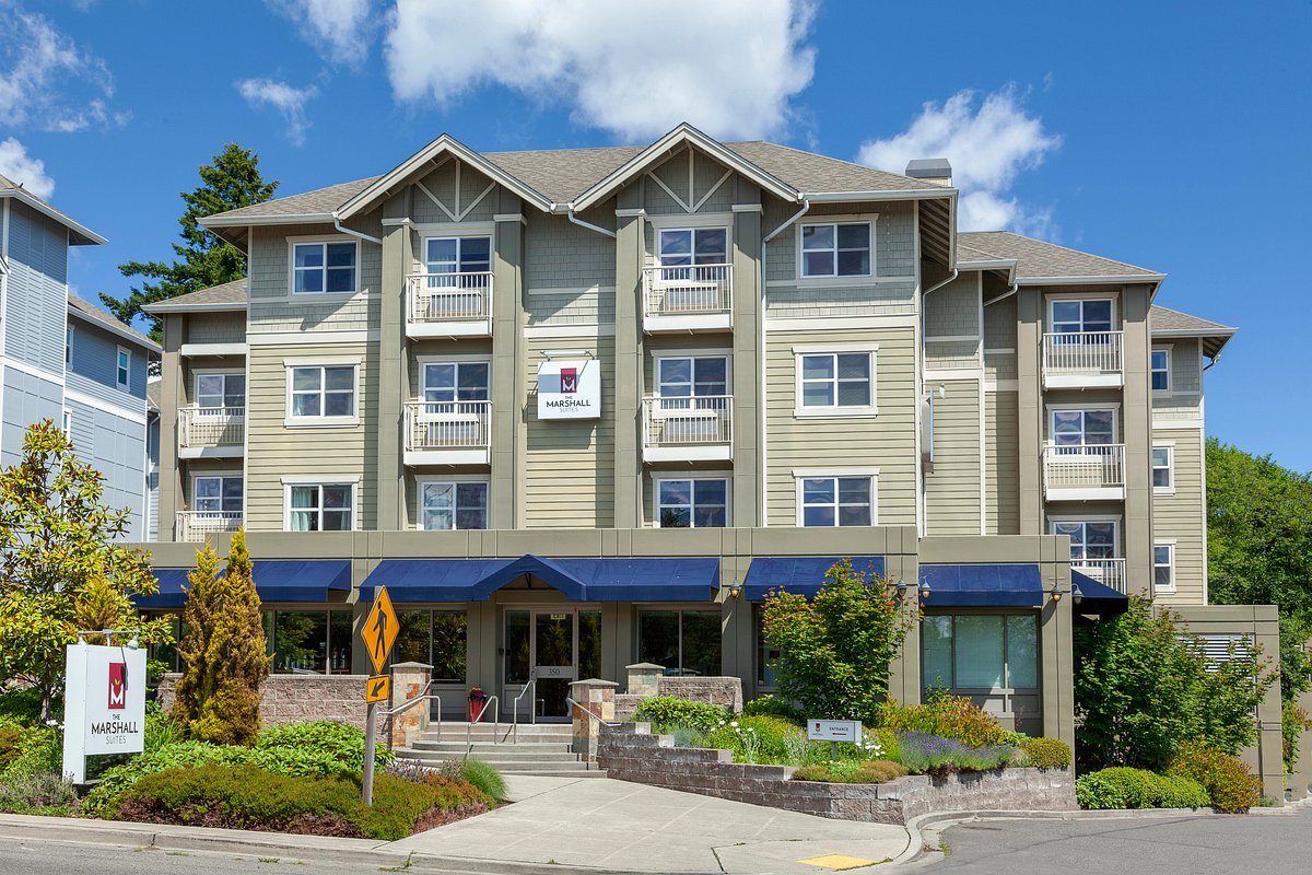 Discover the Best Pet Friendly Hotels in Bainbridge Island for a Perfect Stay