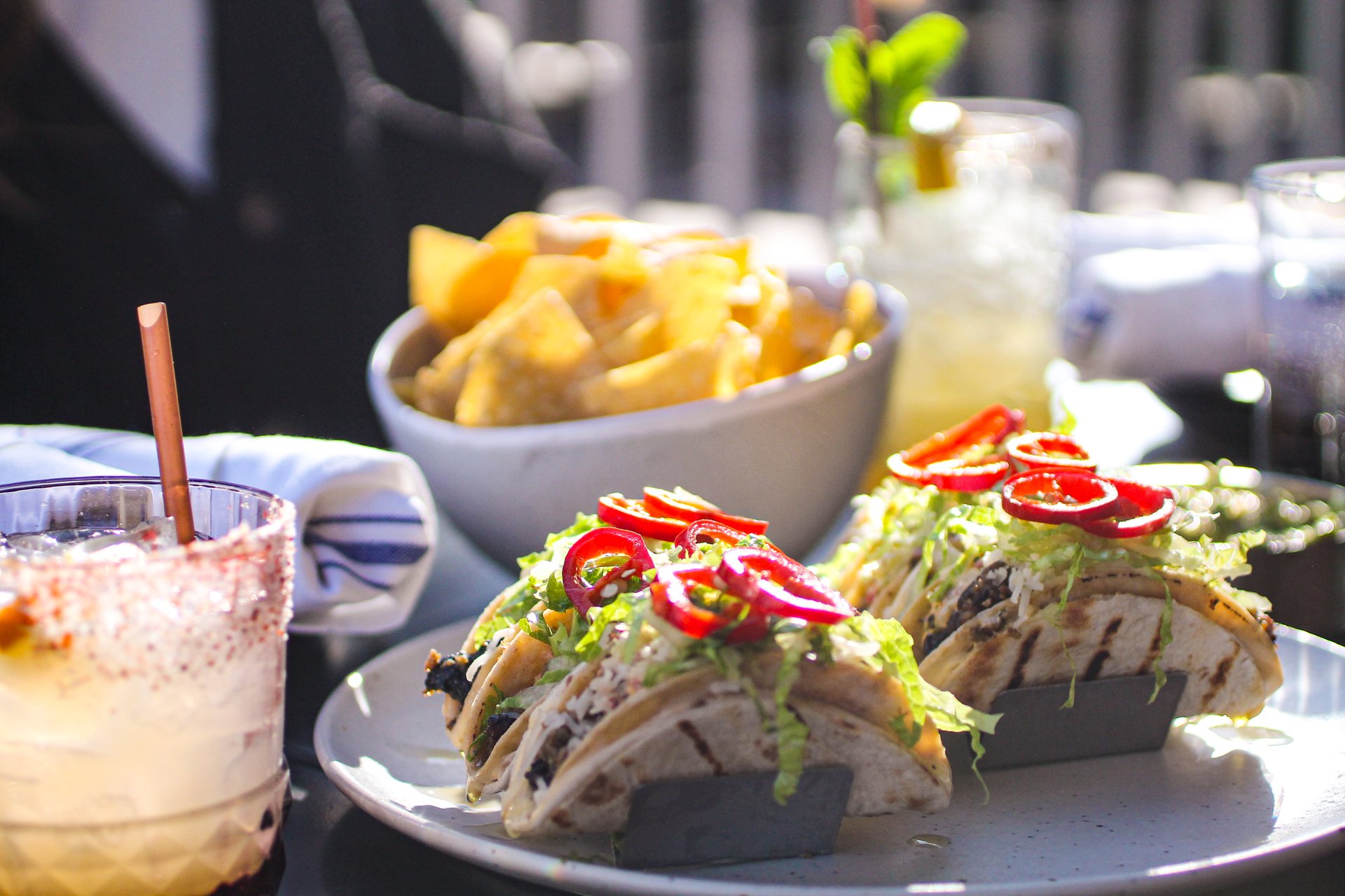 Senor Bear Happy Hour: Enjoy Delicious Latin Bites & Drinks Daily in Denver