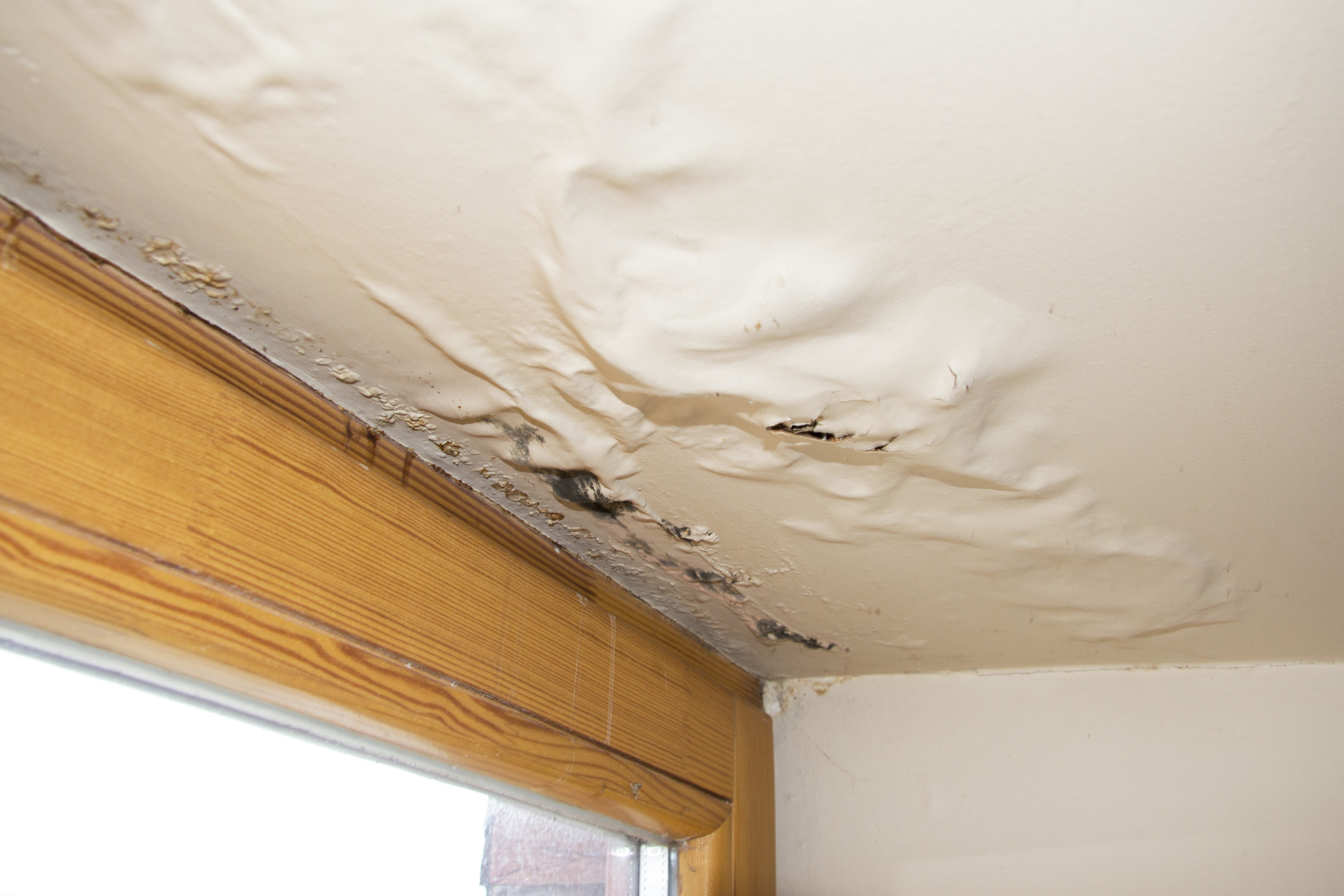 How to Identify and Stop a Leak in Your Basement Ceiling Before It Gets Worse
