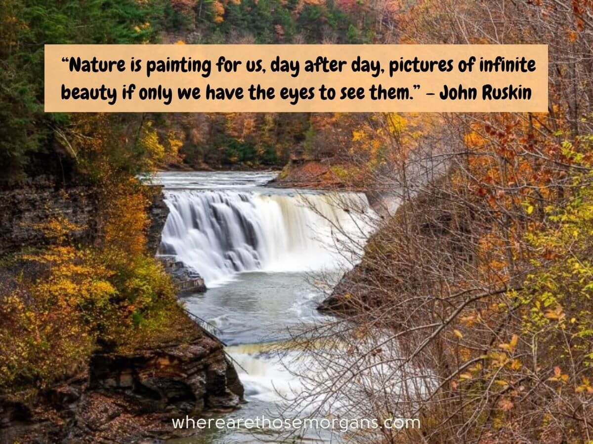 Searching for the best waterfall quotes funny online? Weve gathered all the truly hilarious ones for you!