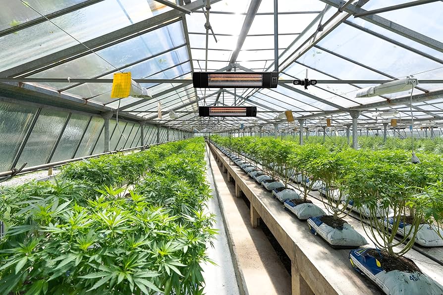 Top Infrared Heaters for Greenhouses: Keep Your Plants Warm This Winter