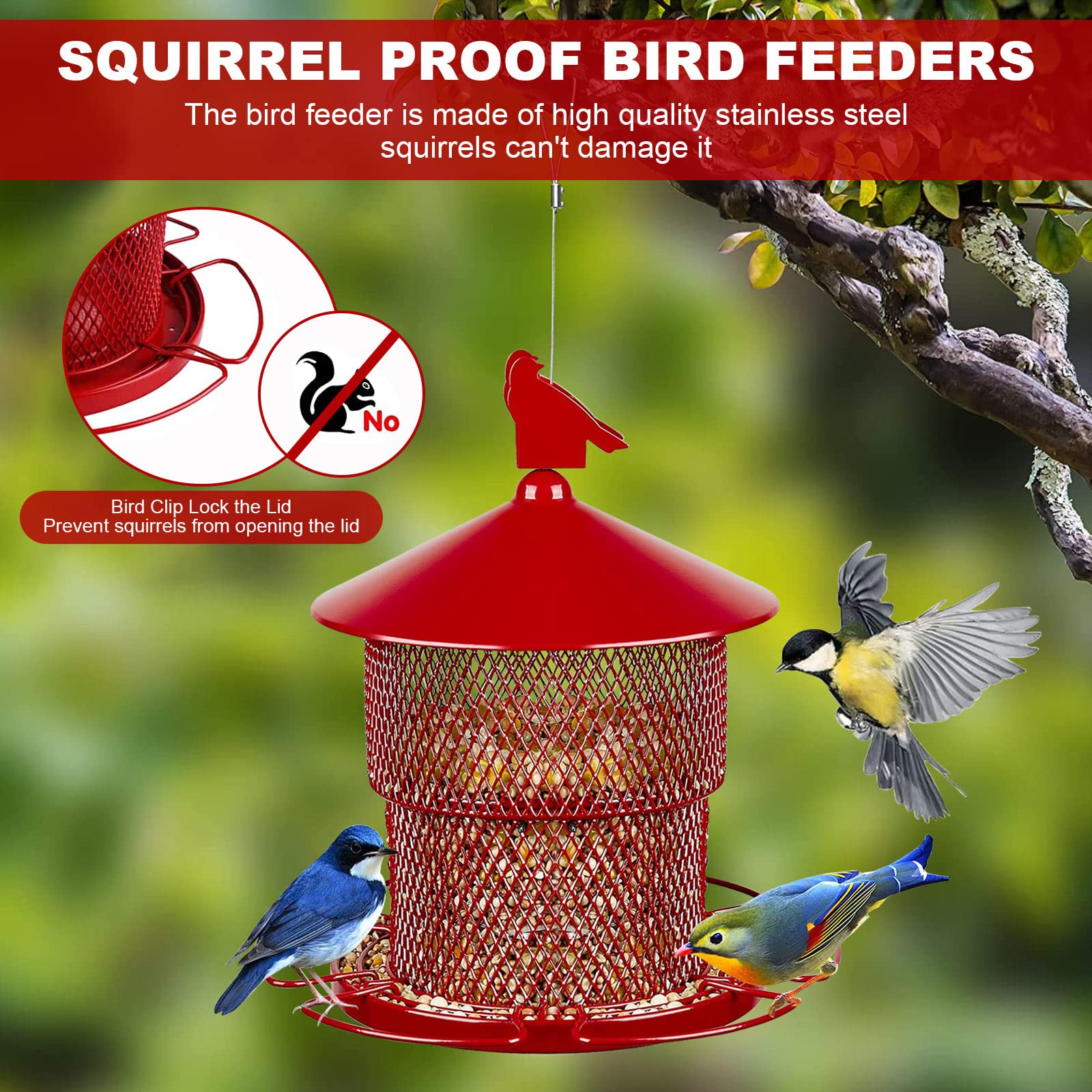 Top Squirrel-Proof Cardinal Bird Feeders to Keep Your Feeders Safe