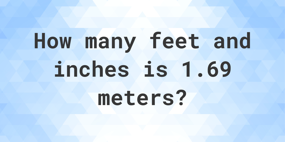 How Many Feet is 1.69 Meters? Find Out Now