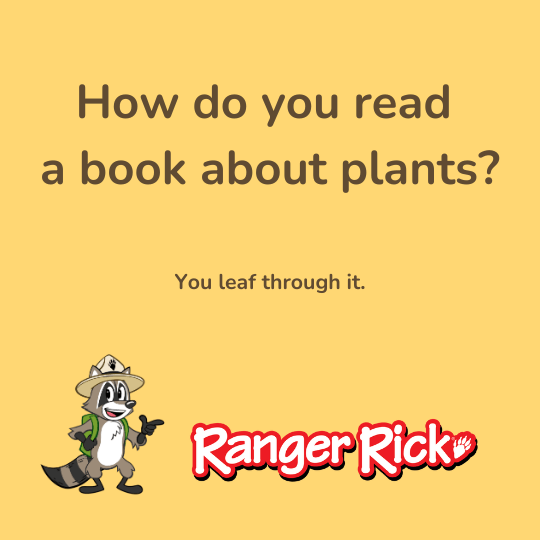 What Is a Joke That Sparks Another Joke? Find Out Here!