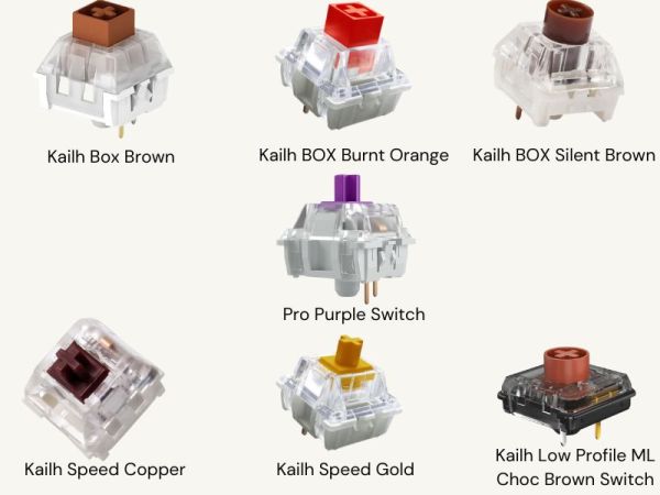 Brown Kailh Switches vs. Cherry MX Brown: Which is Better for you?