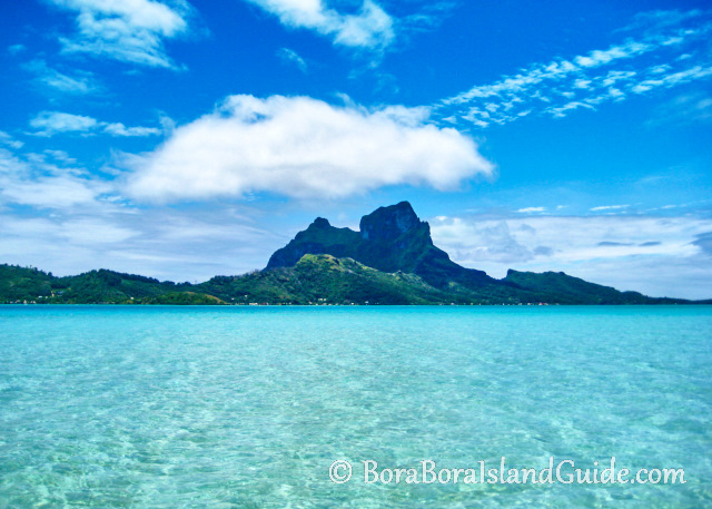 A Guide to Bora Boras Exotic Land and Marine Animals
