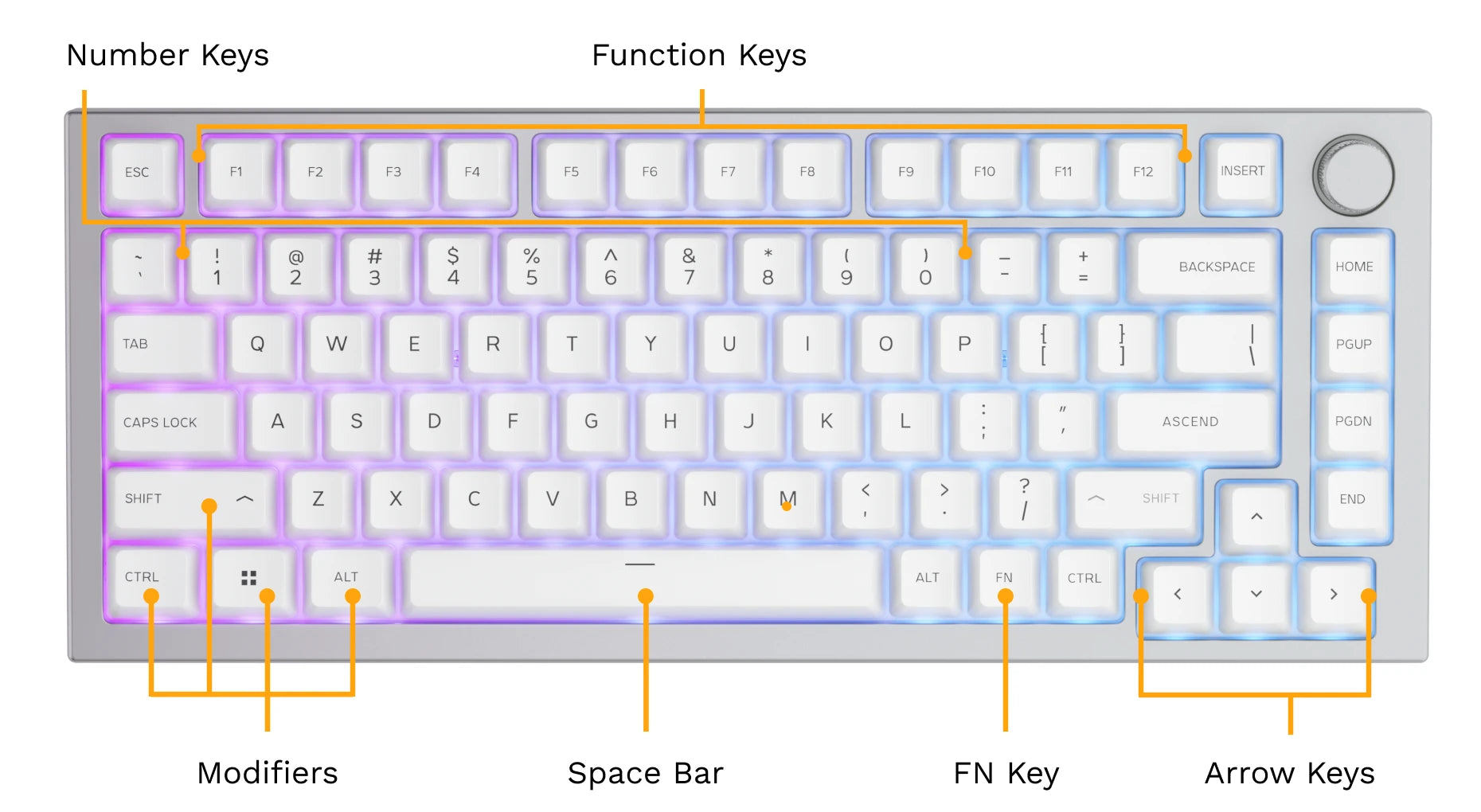 Complete GMMK Tenkeyless Manual: Setup and Key Mapping Guide