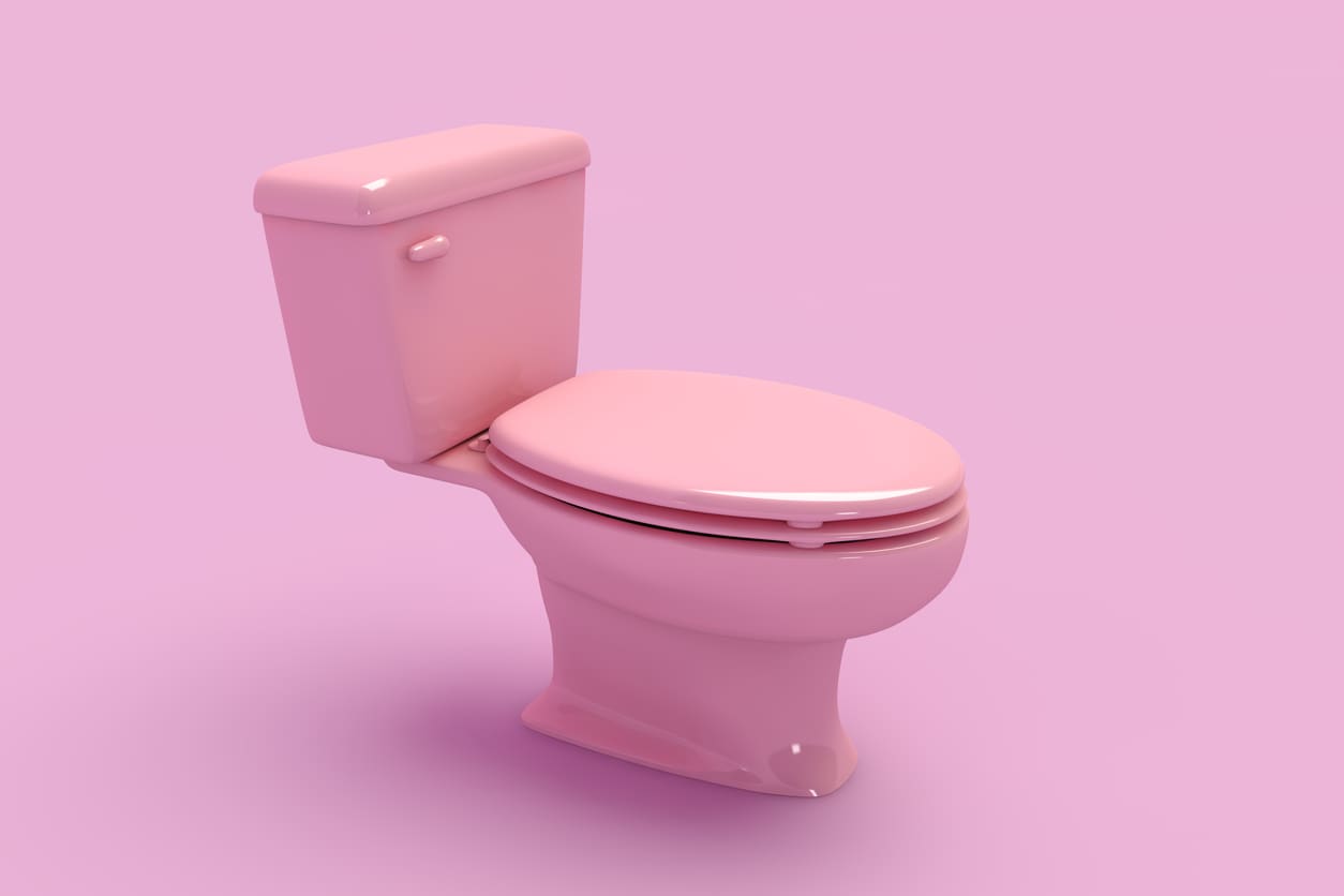 Why Does My Toilet Whistle? Common Causes & Solutions Explained