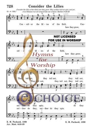 Consider the Lilies Hymn Lyrics: Full Text and Meaning Explained