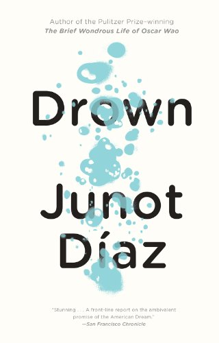 A simple analysis of No Face by Junot Diaz (Understand its characters, key plot points, and deeper meanings)