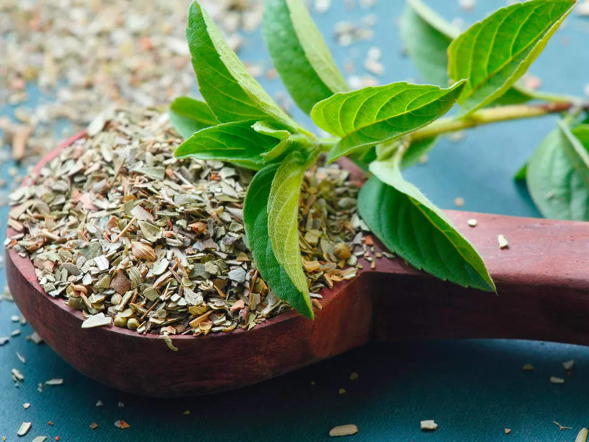Everything You Need to Know About Dry Tulsi Leaves