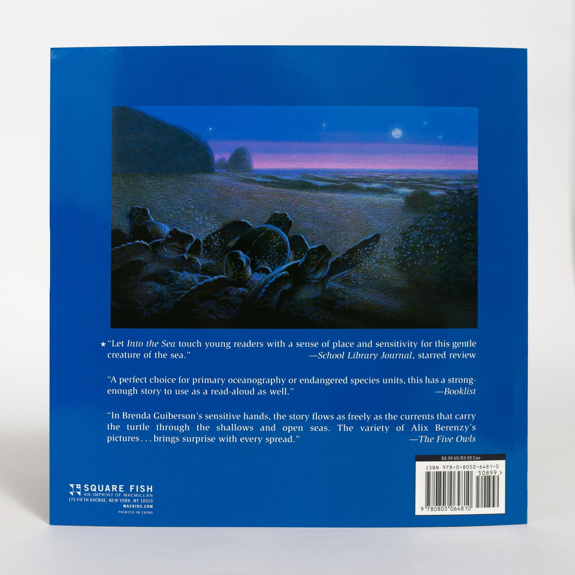 into the sea book Summary: Whats it All About? Get the Full Story of this Exciting Book.