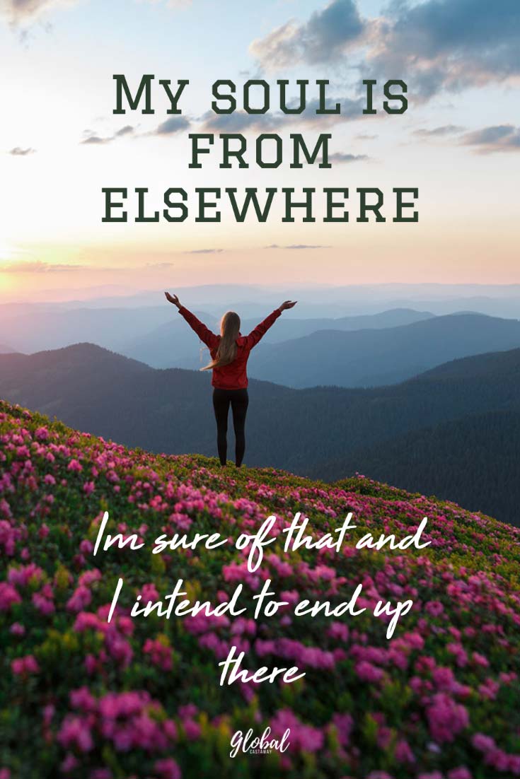 Explore the Best Wild Quotes Short by Famous Thinkers and Writers