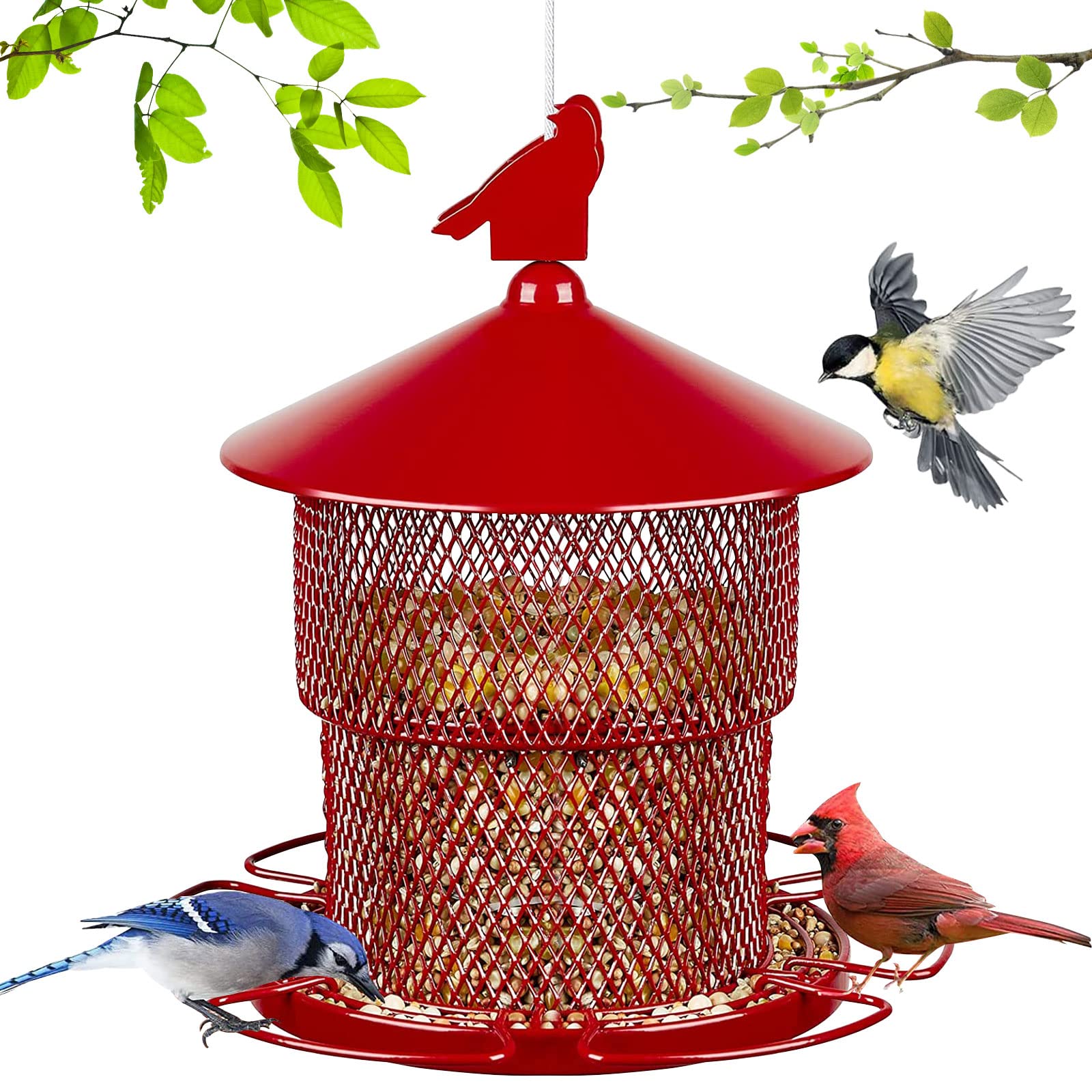 Top Squirrel-Proof Cardinal Bird Feeders to Keep Your Feeders Safe