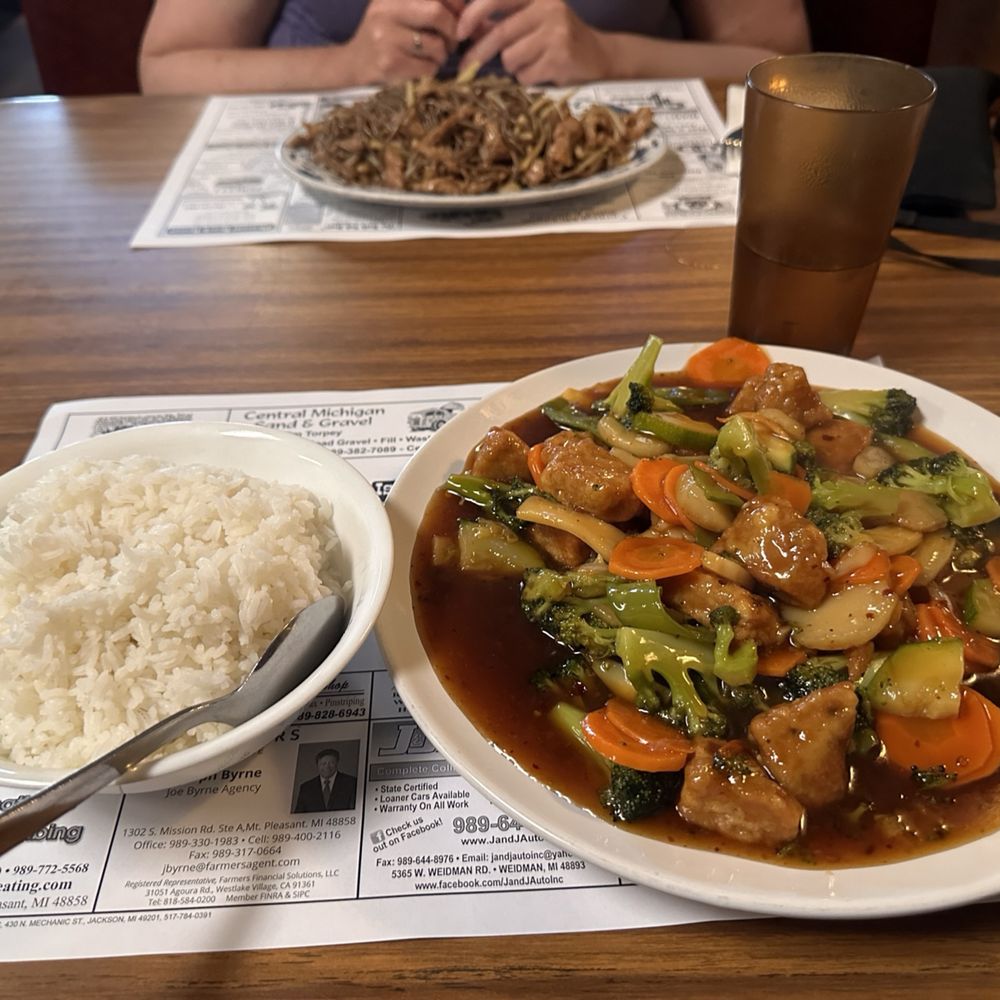 Craving chinese food in mount pleasant mi? Here is where to go for truly delicious meals!