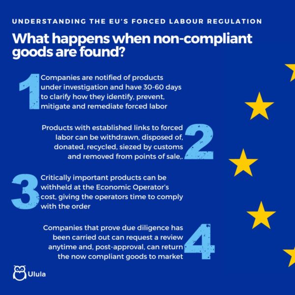 EU Forced Labor Regulation: New Rules to Ban Products Made with Forced Labor