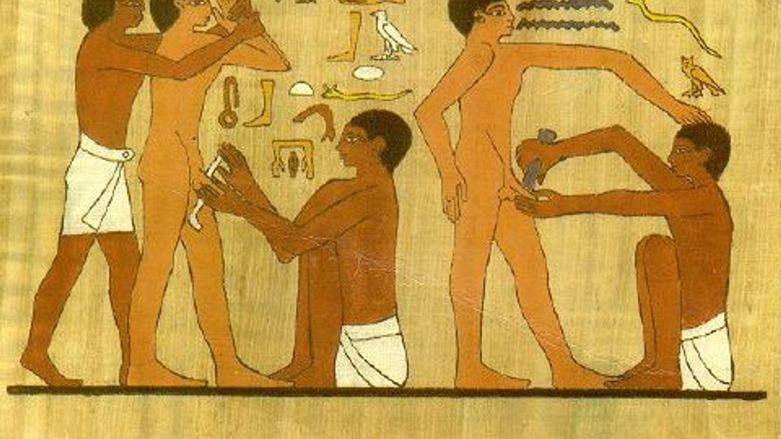 what is the oldest medical profession in the world