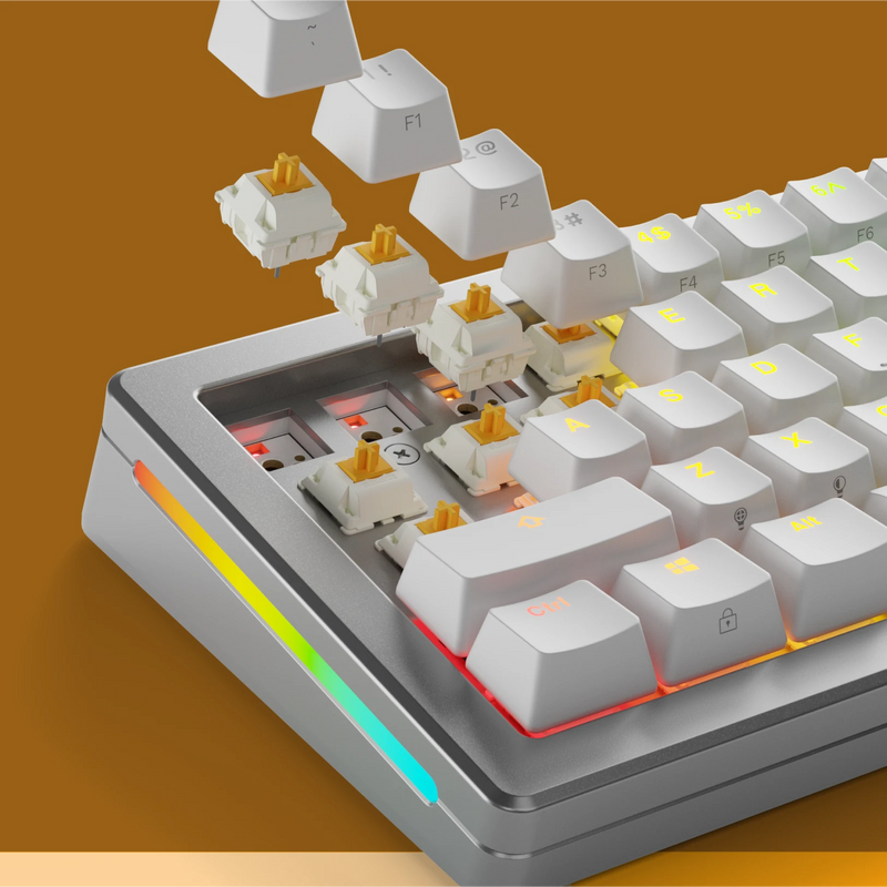 Panda Switches Keyboard Review: Best Tactile Switches for Typing and Gaming