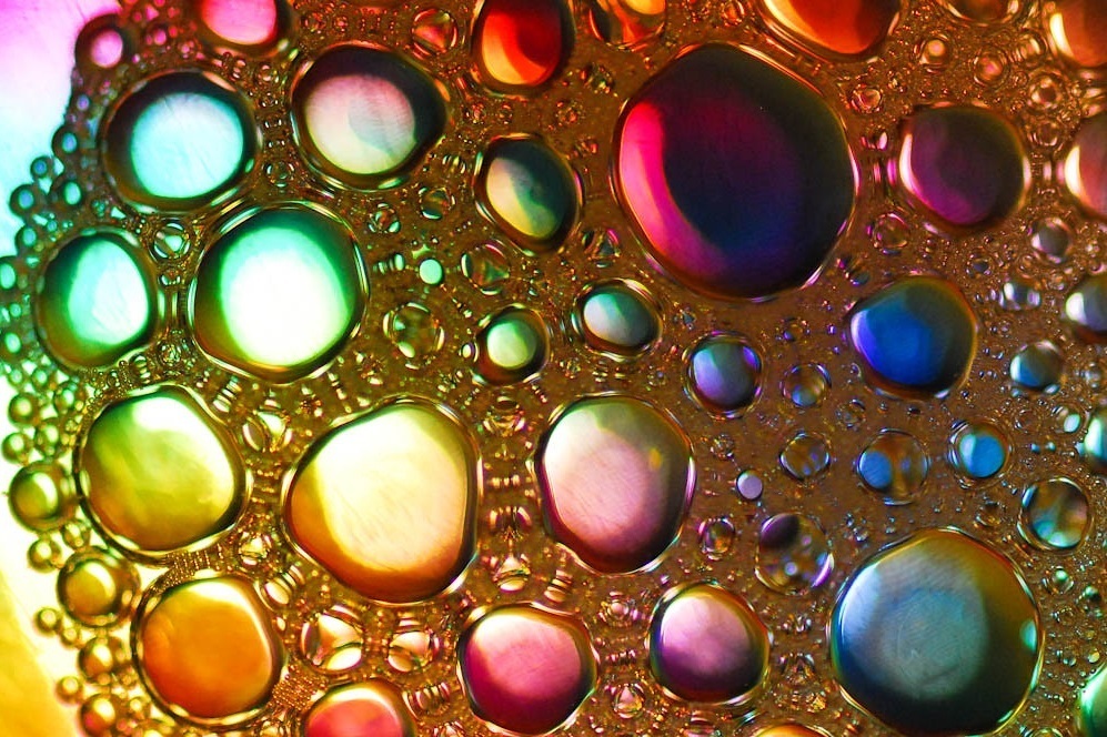Discover the World's Smallest Things: From Quarks to Microbes
