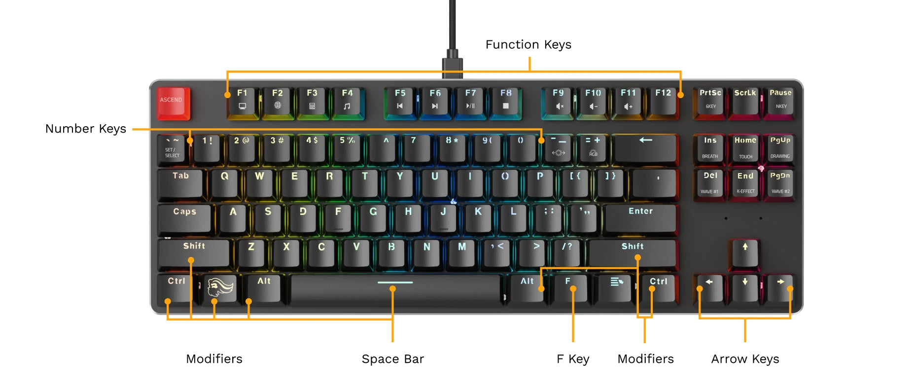 Complete GMMK Tenkeyless Manual: Setup and Key Mapping Guide
