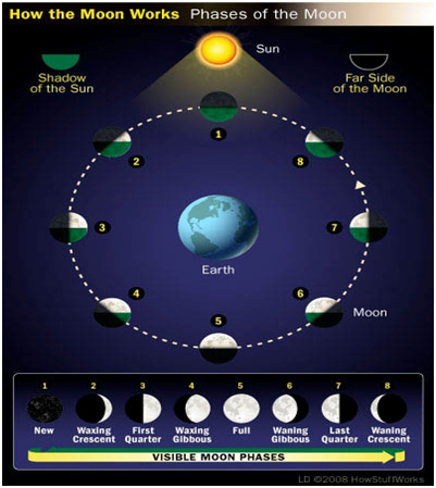Best Time for Ghost Feeding: Moon Cycles and Key Hours