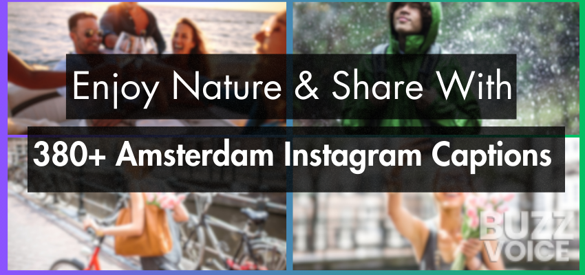 Perfect Amsterdam Instagram Captions to Capture Your Memories