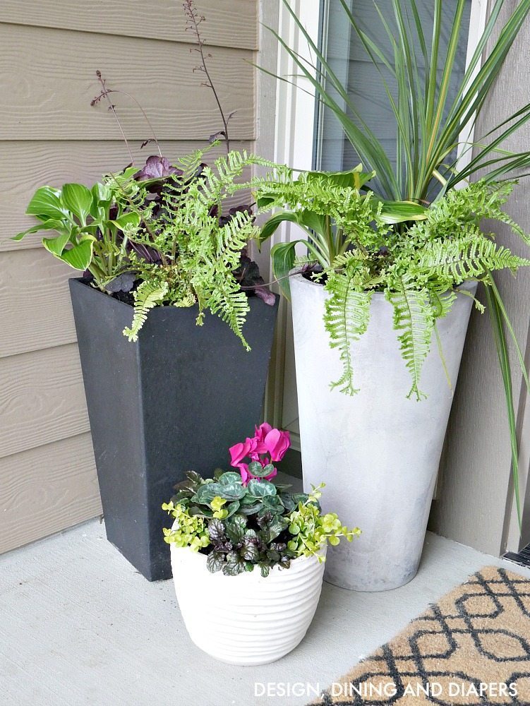 Porch Planter Box Ideas: Creative Ways to Spruce Up Your Porch