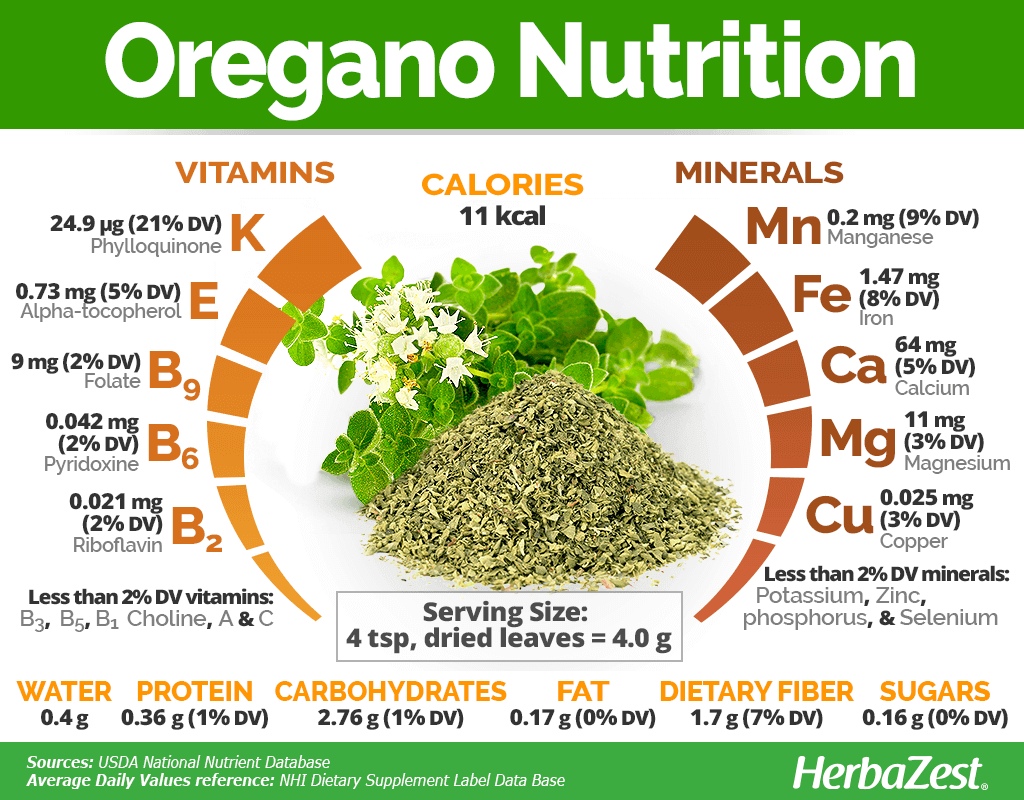 Oregano Nutrition Info: Calories, Vitamins, and Health Benefits