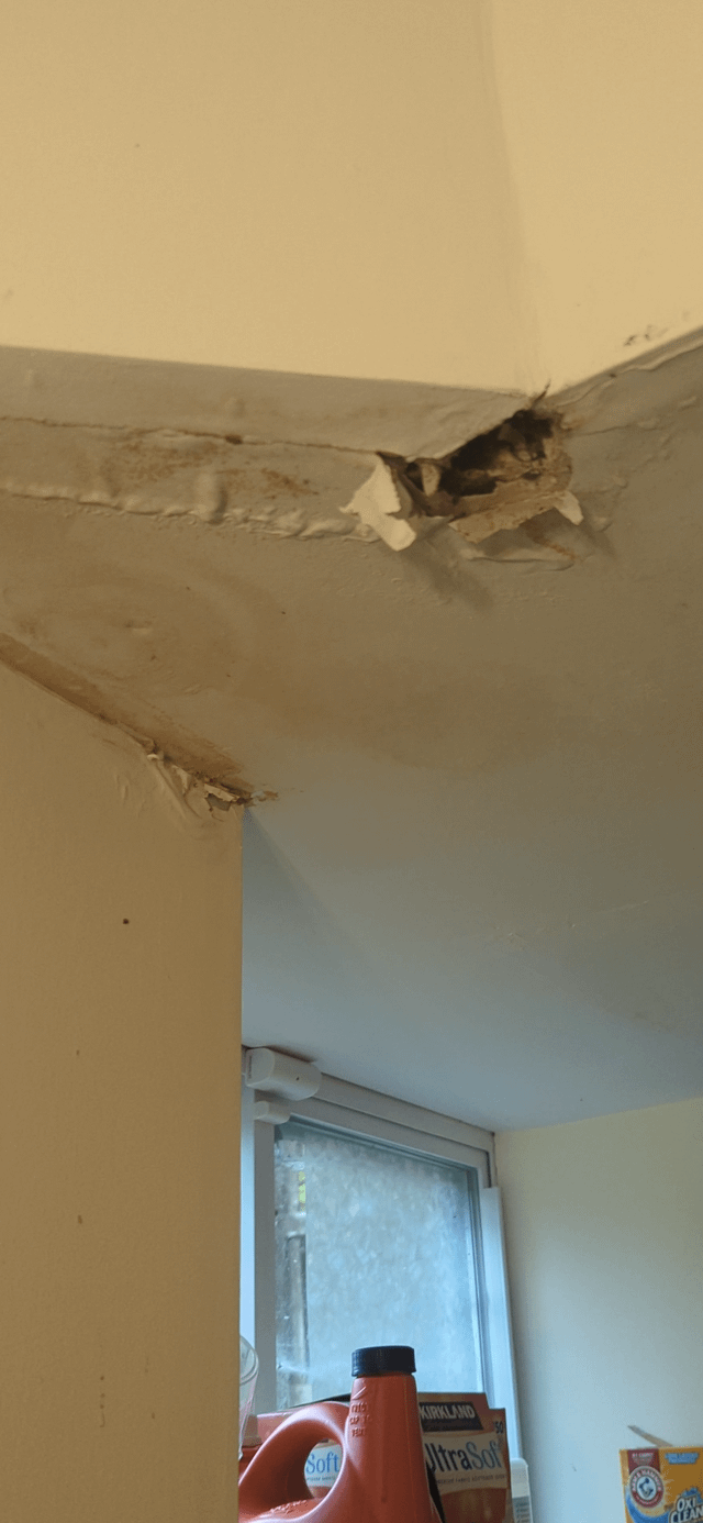 How to Identify and Stop a Leak in Your Basement Ceiling Before It Gets Worse