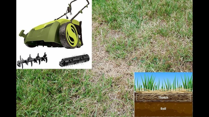 Dethatch or Scarify Before Overseeding - Easy Tips for a Green Lawn.
