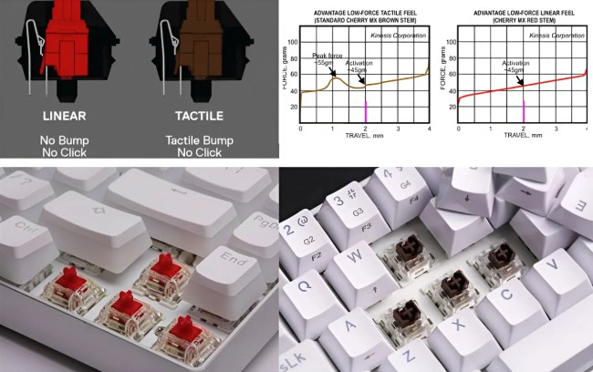Red or Brown Switches: A Simple Guide for Gamers!