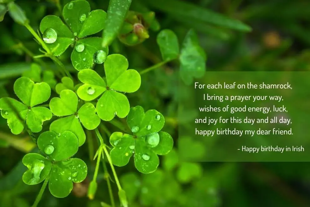Irish Happy Birthday Messages: Warm Wishes in Irish Gaelic and English