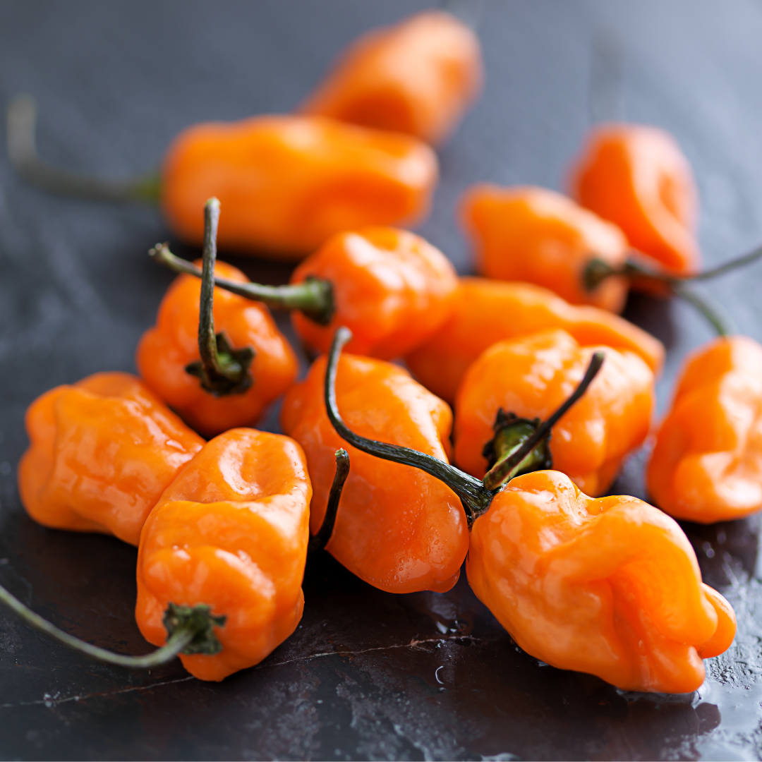 Caribbean Capital-Inspired Foods: The Story of Habanero Peppers