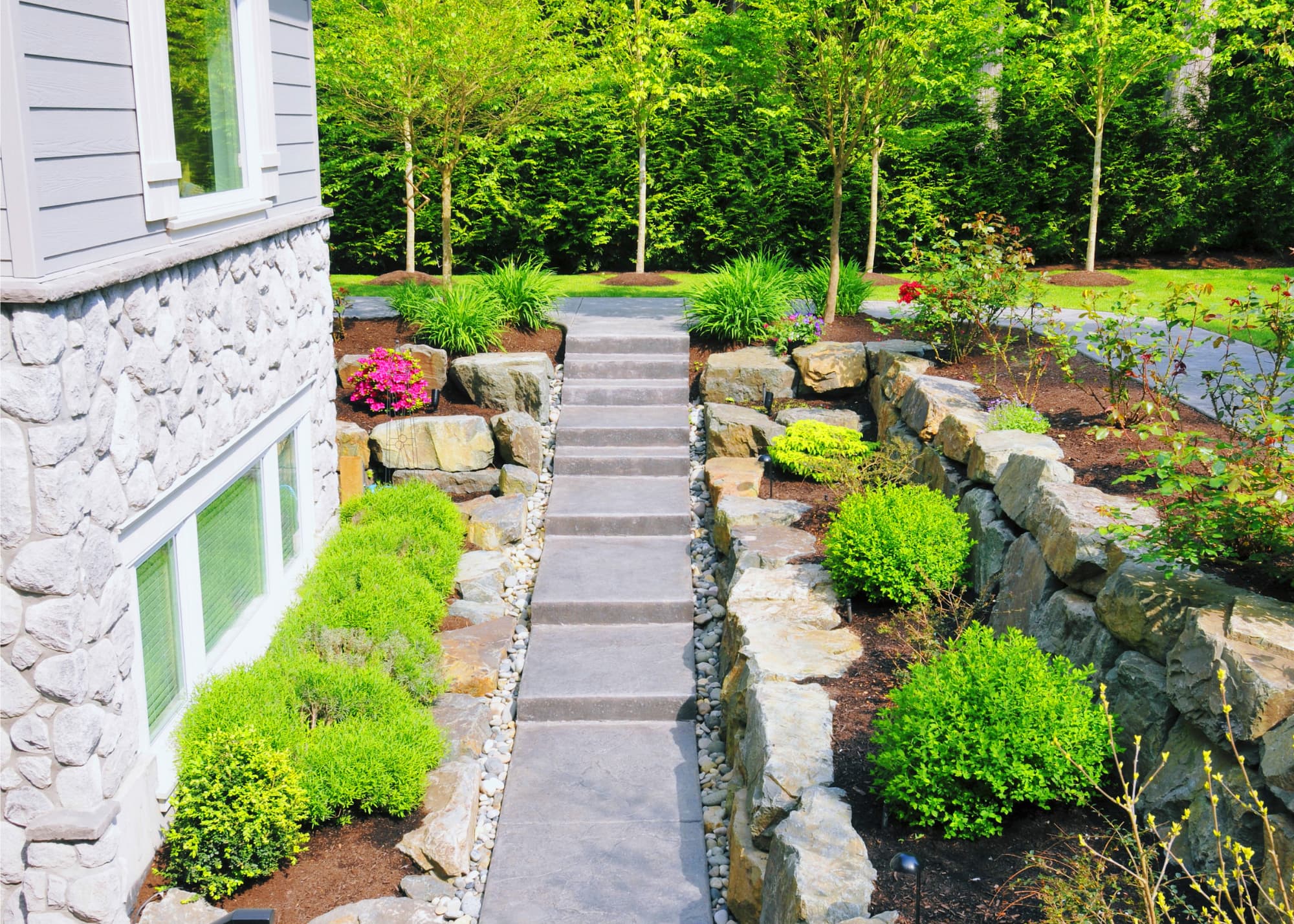 Best Lawn Drainage Companies: Keep Your Yard Dry and Healthy