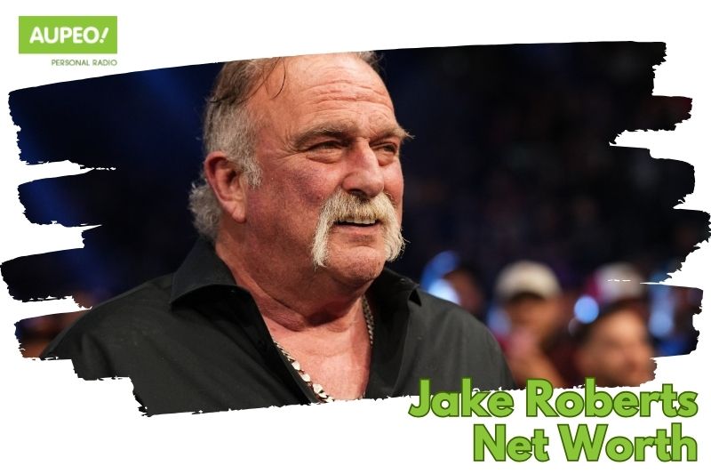 Jake The Snake Roberts Net Worth and Income Sources Explained (2024)