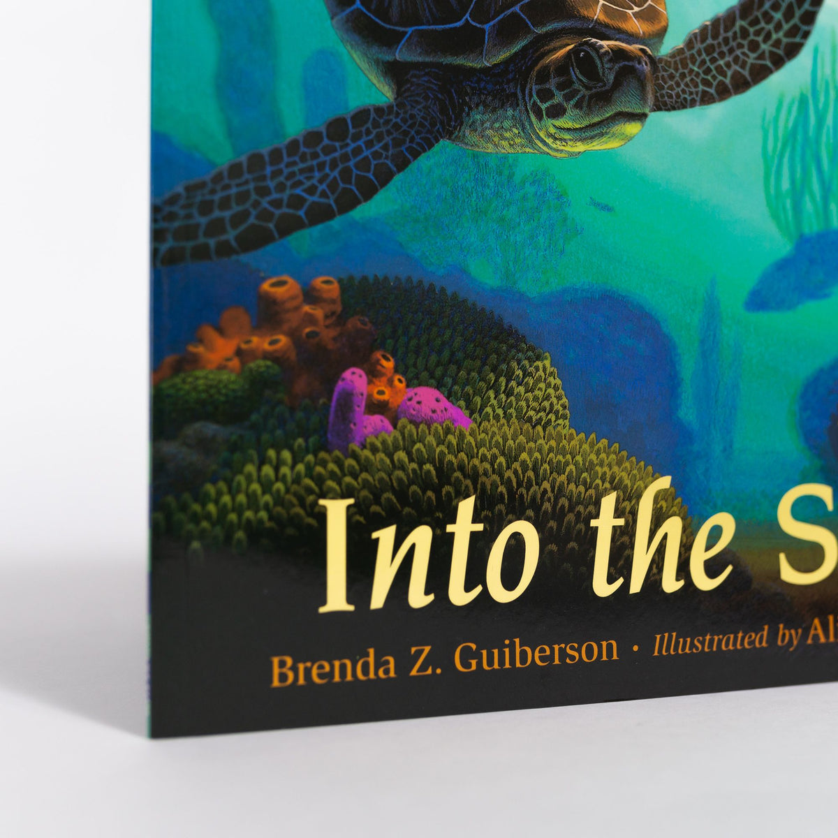 into the sea book Summary: Whats it All About? Get the Full Story of this Exciting Book.