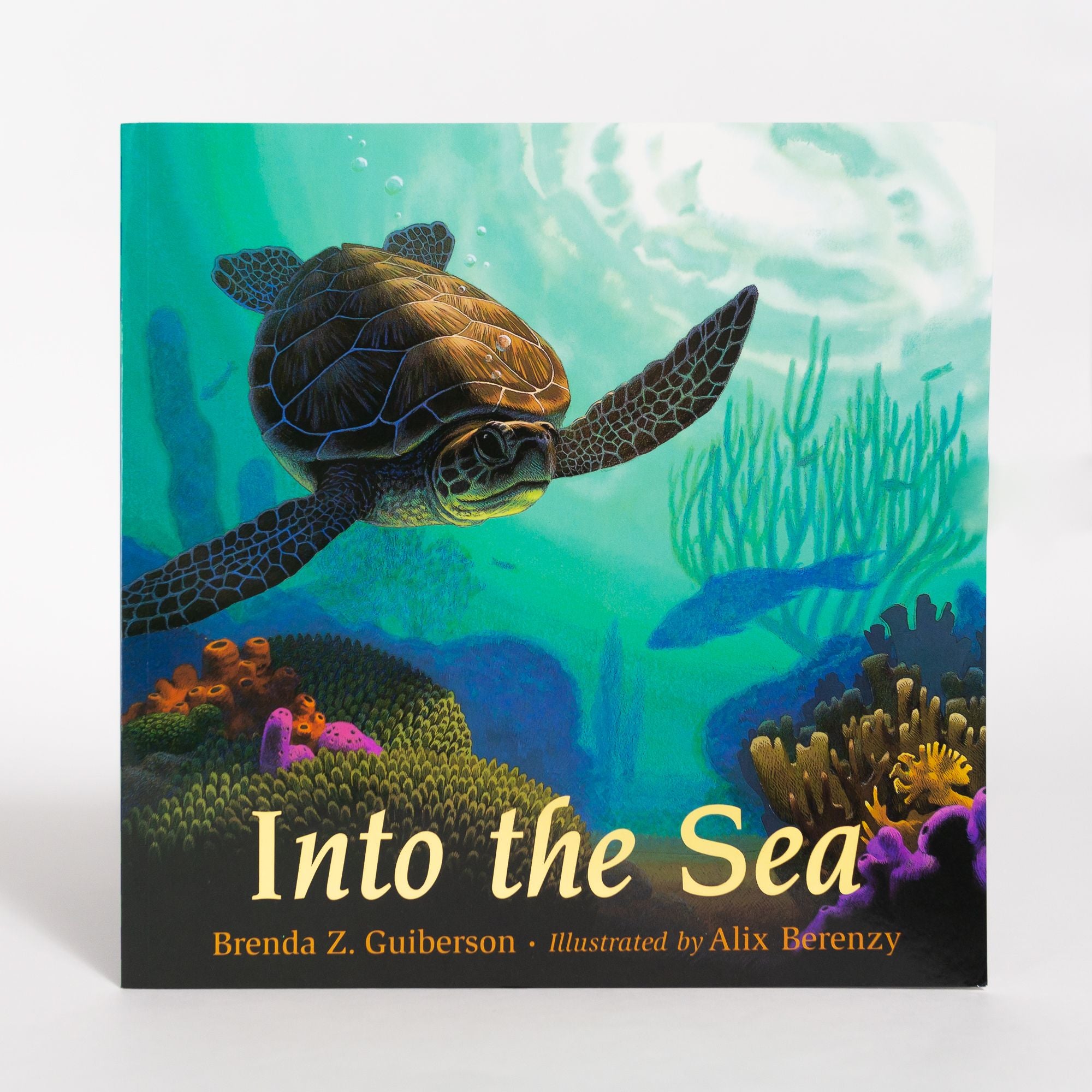 into the sea book Summary: Whats it All About? Get the Full Story of this Exciting Book.