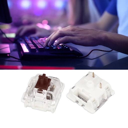 Whats So Special About Cherry MX RGB Brown? A Simple Guide for Beginners.