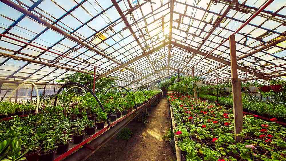 Top Infrared Heaters for Greenhouses: Keep Your Plants Warm This Winter